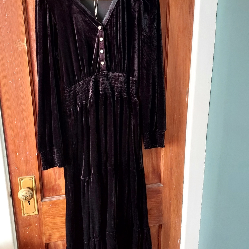 Roolee Silver Linings Velvet Dress - Picture 5 of 5